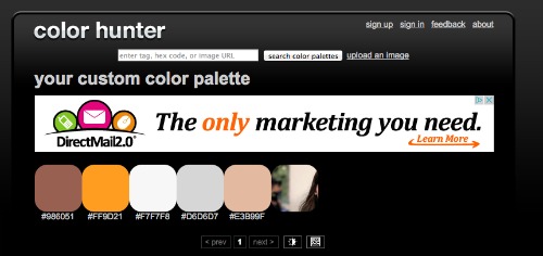 A sample palette analysis on Color Hunter.